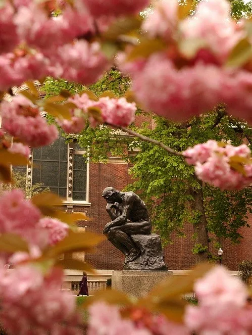 Thinker